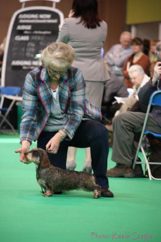 Crufts2011_2 975.jpg